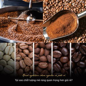kinh-nghiem-chon-nguon-ca-phe-si