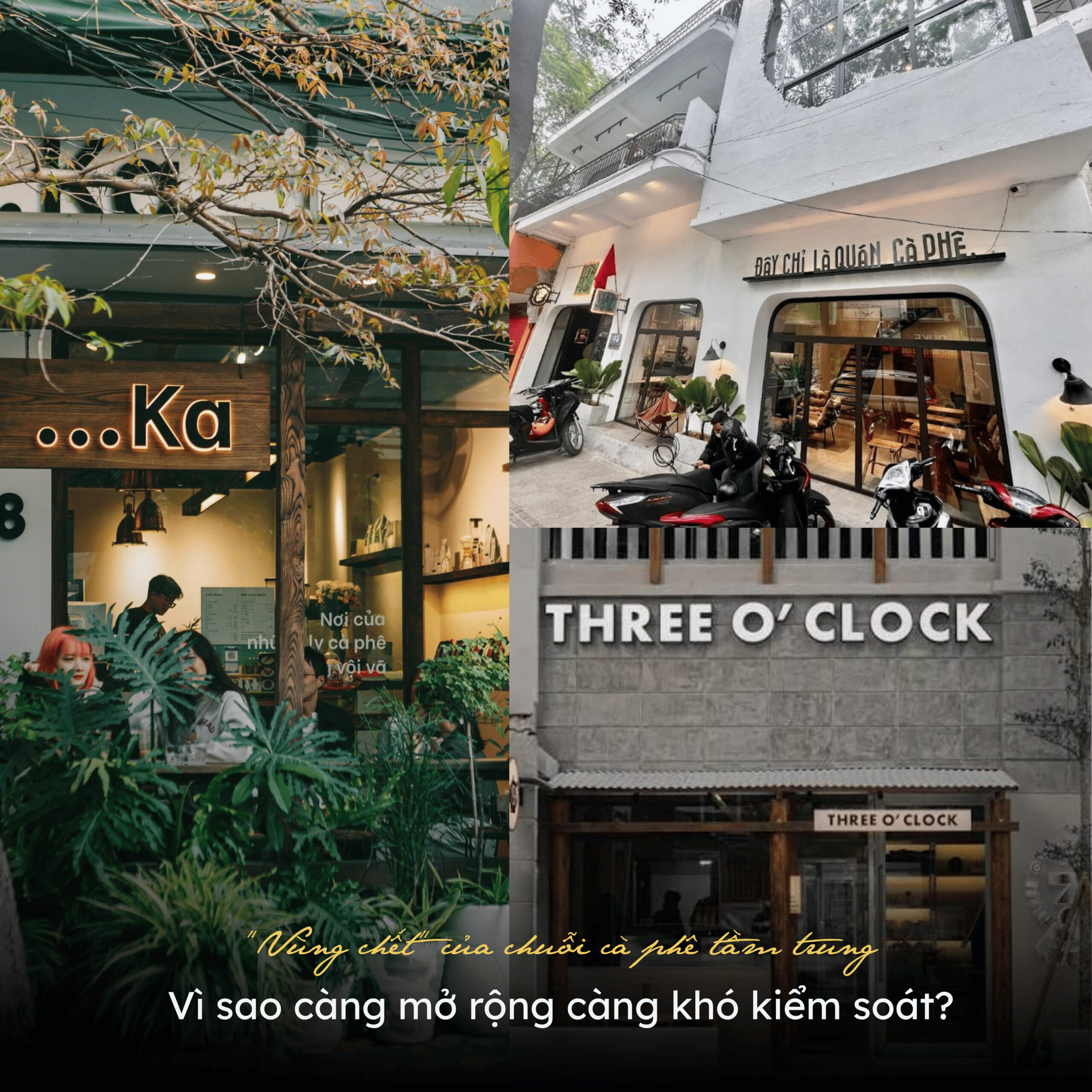 vung-chet-cua-chuoi-ca-phe-tam-trung