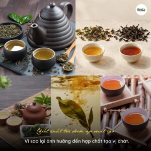 chiet-xuat-tra-duoi-ap-suat-cao-anh-huong-den