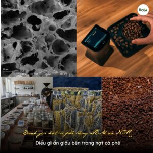 danh-gia-hat-ca-phe-bang-sem-va-nir-dieu-gi-an-dau