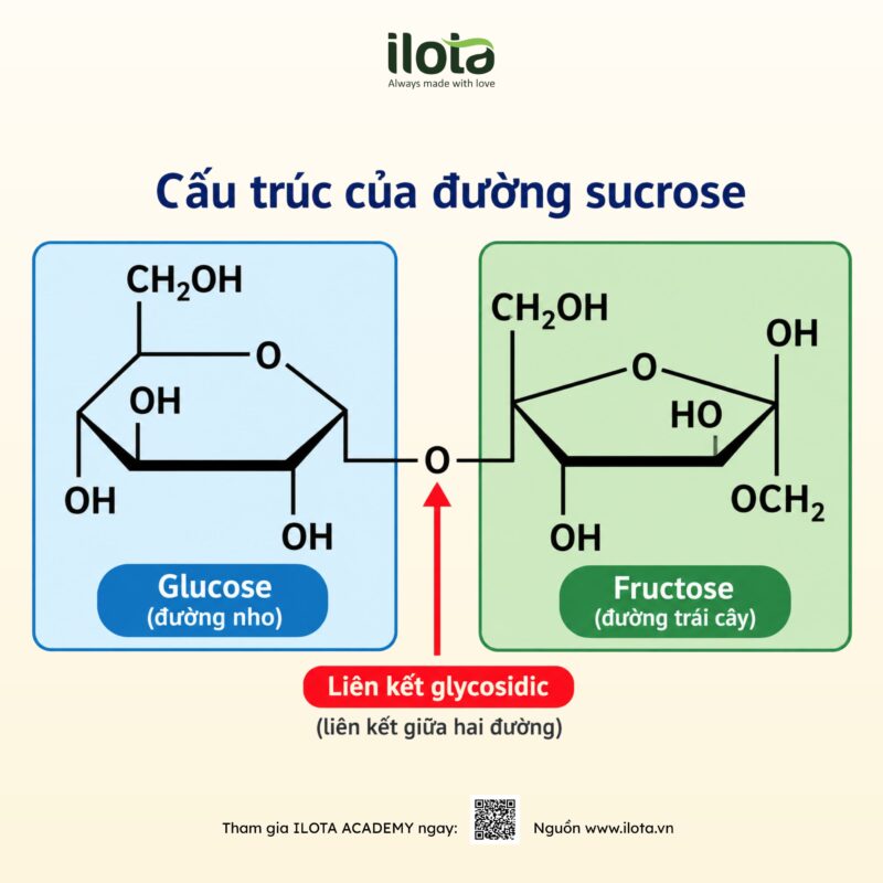 qua-trinh-chin-cua-qua-ca-phe-nhung-thay-doi-hoa-hoc
