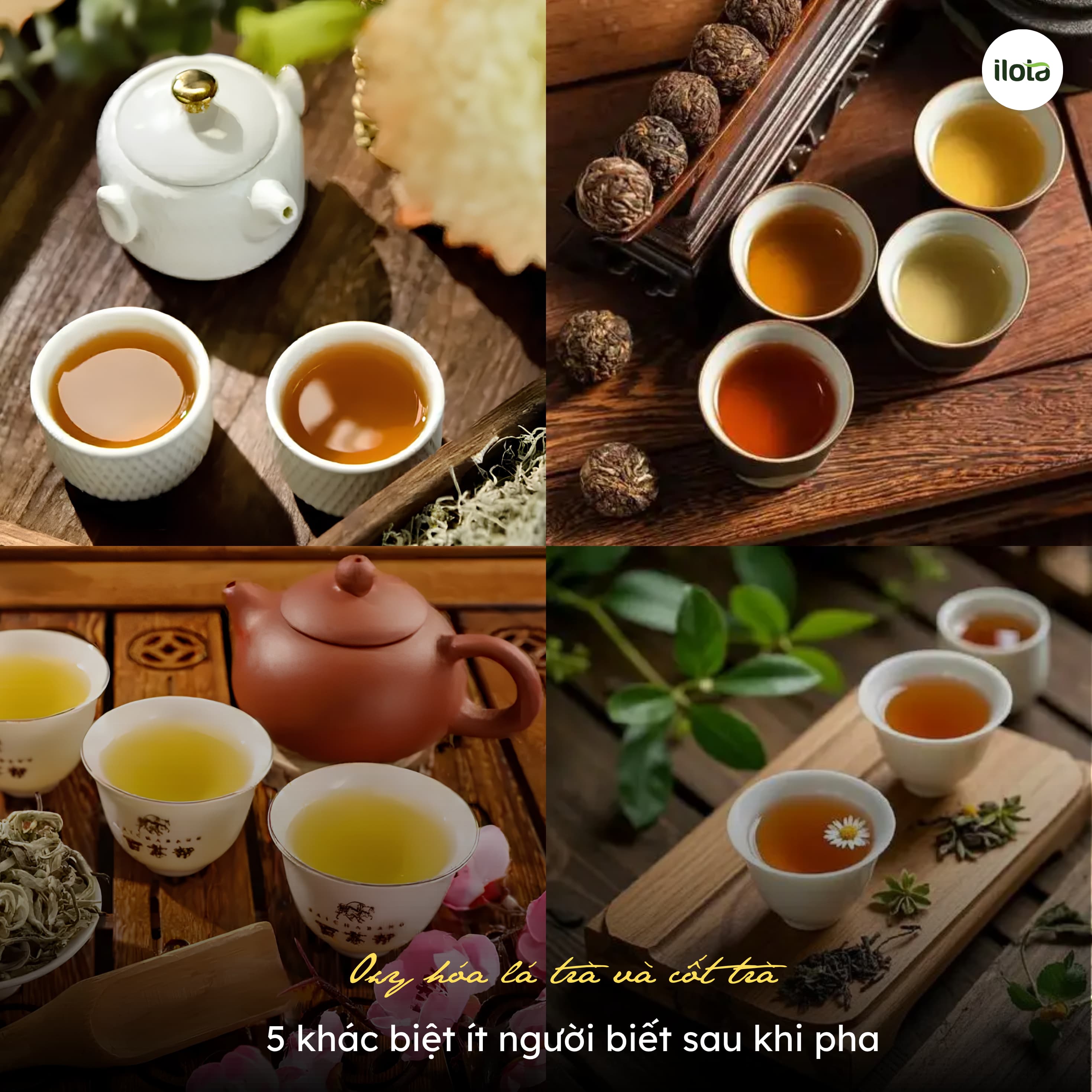 oxy-hoa-la-tra-va-cot-tra-5-khac-biet-it-nguoi-biet