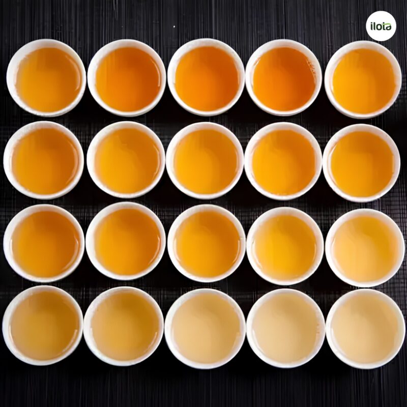 oxy-hoa-la-tra-va-cot-tra-5-khac-biet-it-nguoi-biet