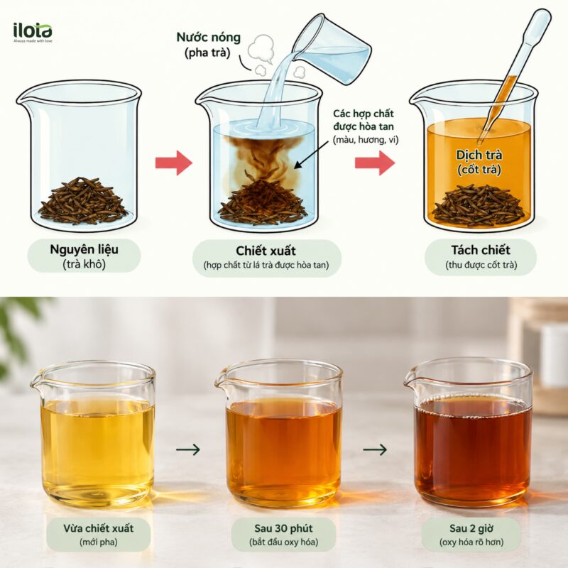 oxy-hoa-la-tra-va-cot-tra-5-khac-biet-it-nguoi-biet