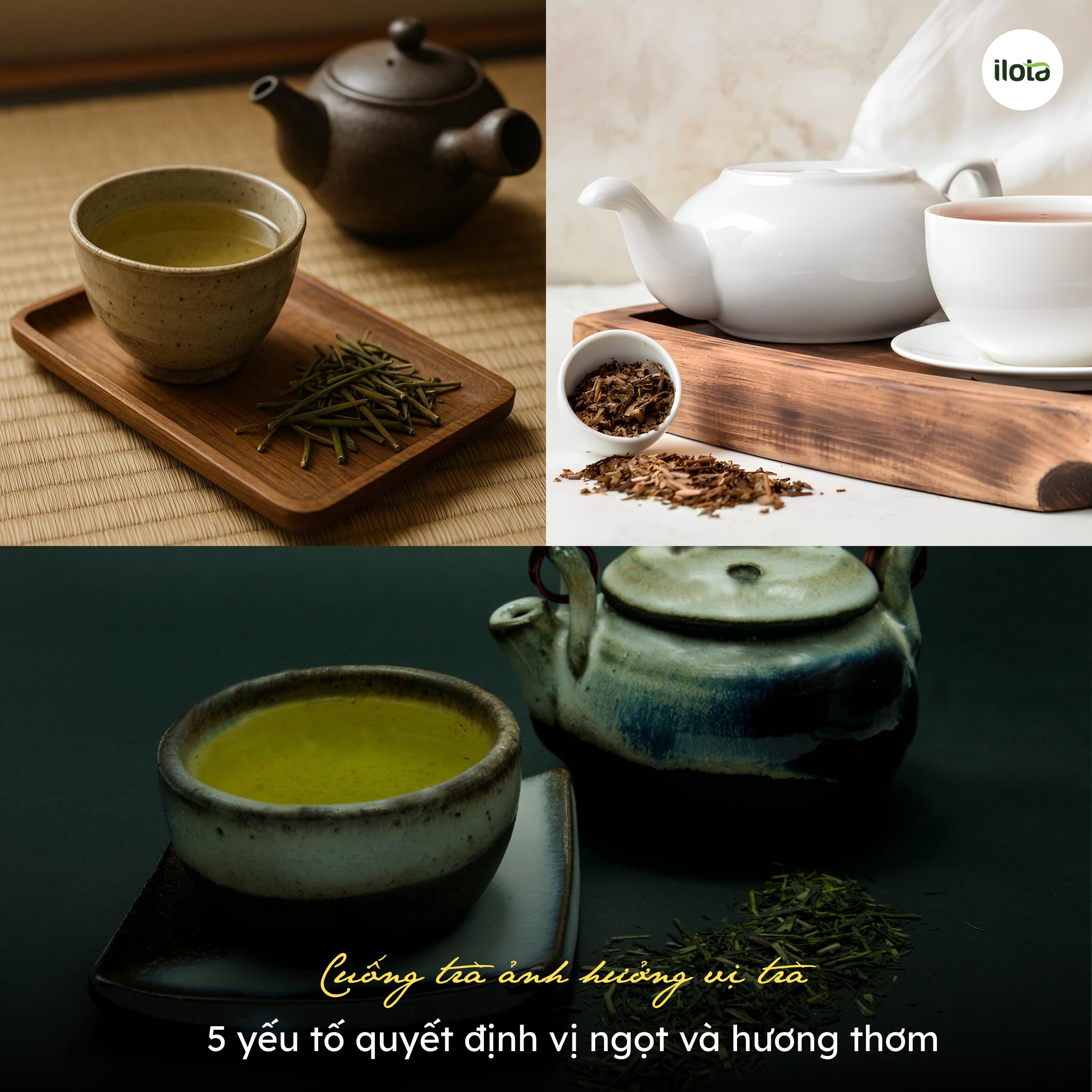 cuong-tra-anh-huong-vi-tra-5-yeu-to-quyet-dinh