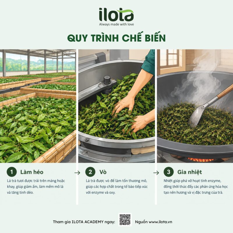 cuong-tra-anh-huong-vi-tra-5-yeu-to-quyet-dinh