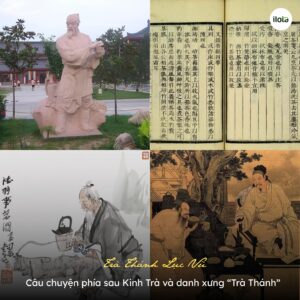 tra-thanh-luc-vu-cau-chuyen-phia-sau-kinh-tra