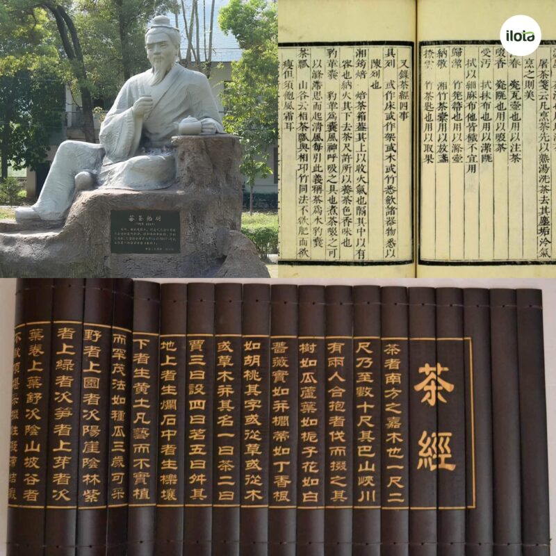 tra-thanh-luc-vu-cau-chuyen-phia-sau-kinh-tra