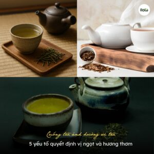 cuong-tra-anh-huong-vi-tra-5-yeu-to-quyet-dinh