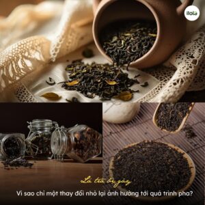 la-tra-bi-gay-vi-sao-anh-huong-toi-qua-trinh-pha