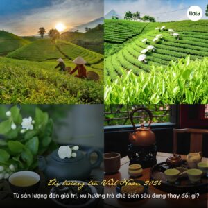 thi-truong-tra-viet-nam-2026-tu-san-luong-den-gia