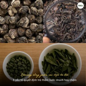khoang-rong-giua-cac-lop-la-tra-5-yeu-to-quyet-dinh