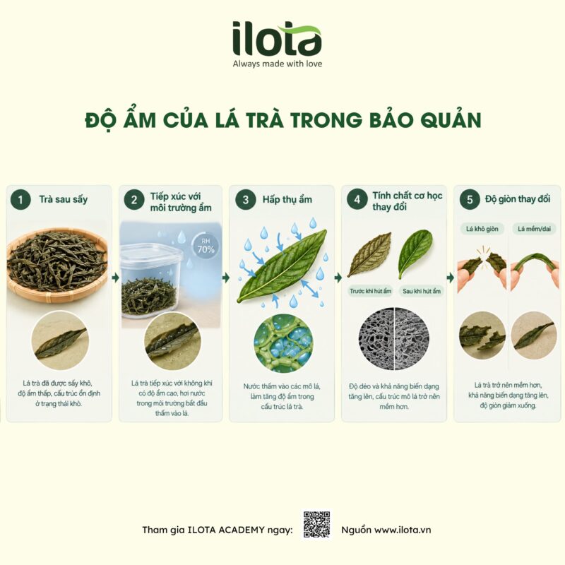 do-gion-cua-la-tra-vi-sao-co-loai-phat-ra-tieng-rac