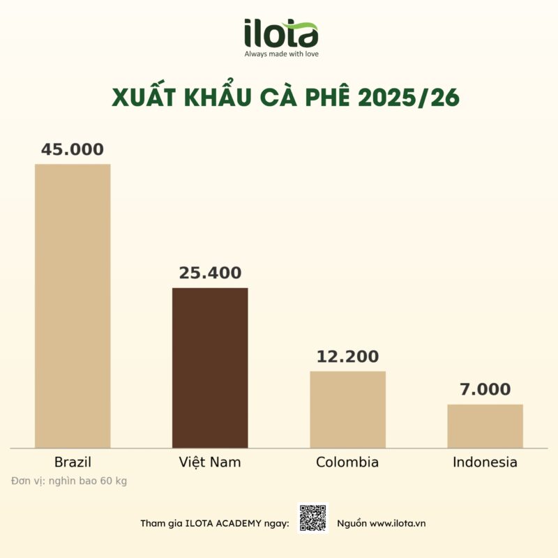 xuat-khau-ca-phe-viet-nam-2026-vi-sao-xuat-khau-tang