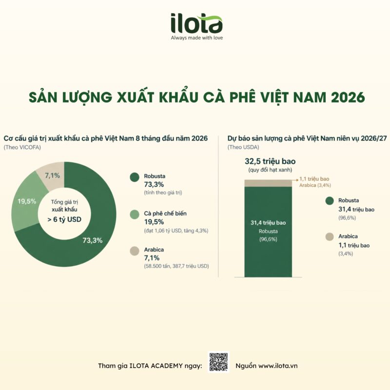 xuat-khau-ca-phe-viet-nam-2026-vi-sao-xuat-khau-tang
