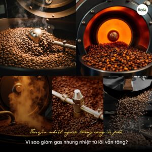 truyen-nhiet-nguoc-trong-rang-ca-phe-vi-sao-giam-gas