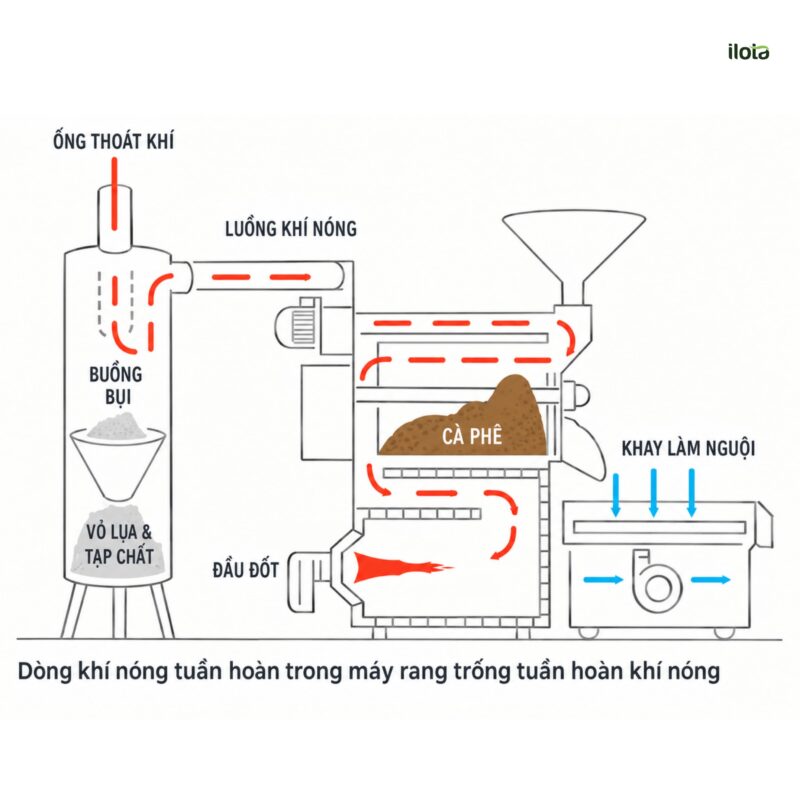 truyen-nhiet-nguoc-trong-rang-ca-phe-vi-sao-giam-gas