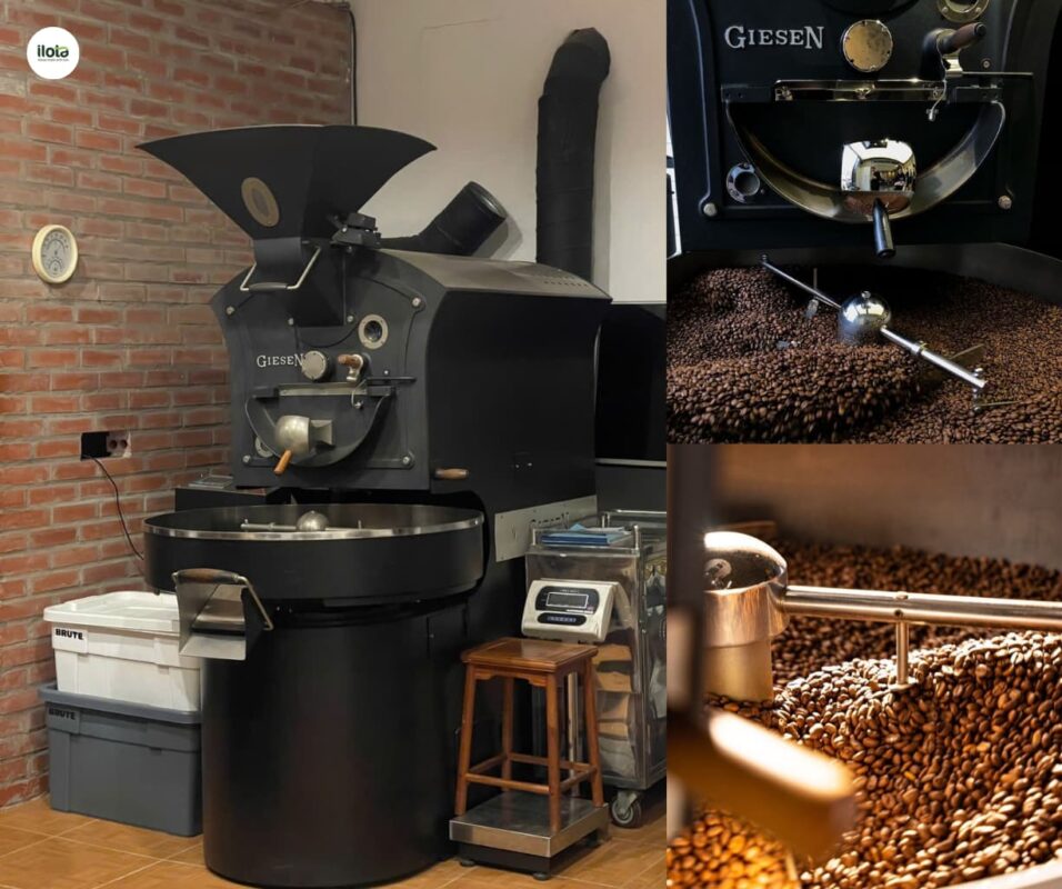 nam-hay-nu-chuyen-hoa-caffeine-nhanh-hon/