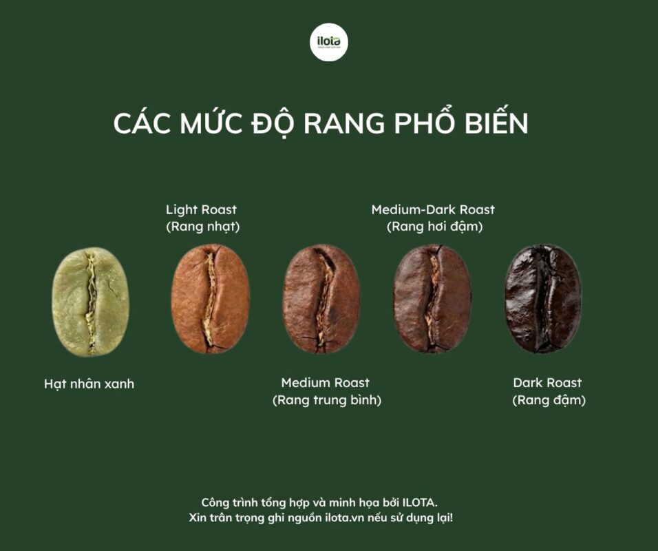 Thể tích hạt cà phê sau rang: Vì sao cùng 1 khối lượng nhưng thể tích lại khác nhau?