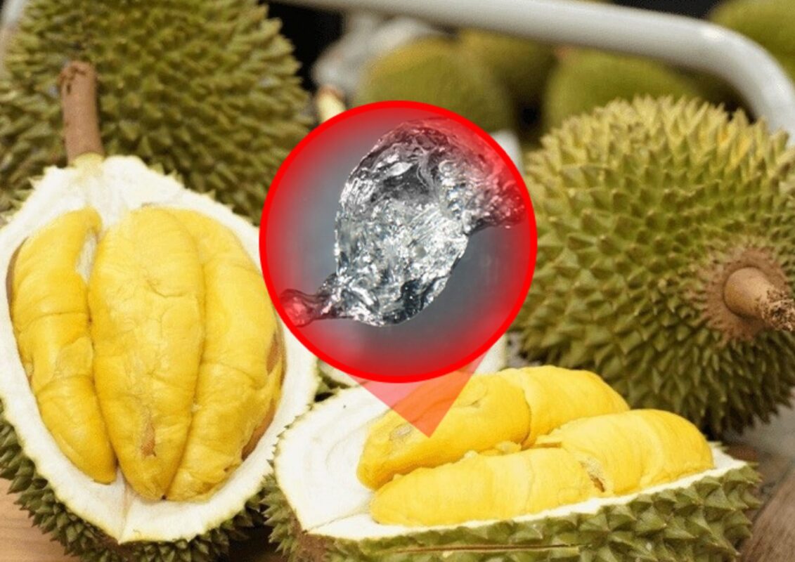 tu-ca-phe-sang-sau-rieng