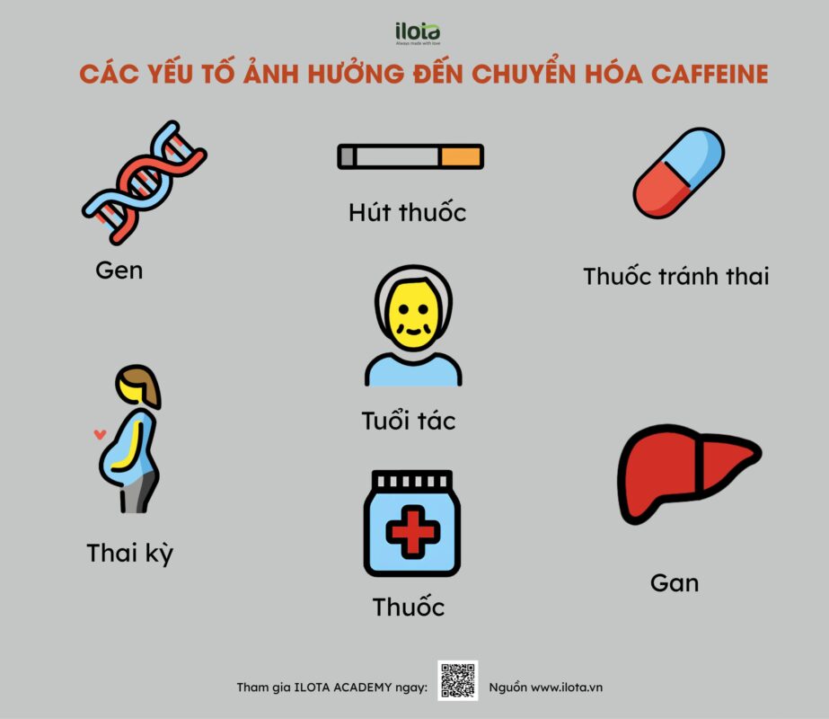 nam-hay-nu-chuyen-hoa-caffeine-nhanh-hon/