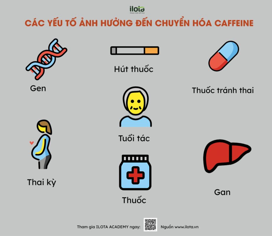 nam-hay-nu-chuyen-hoa-caffeine-nhanh-hon/