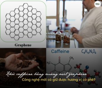 khu-caffeine-bang-mang-oxit-graphene/