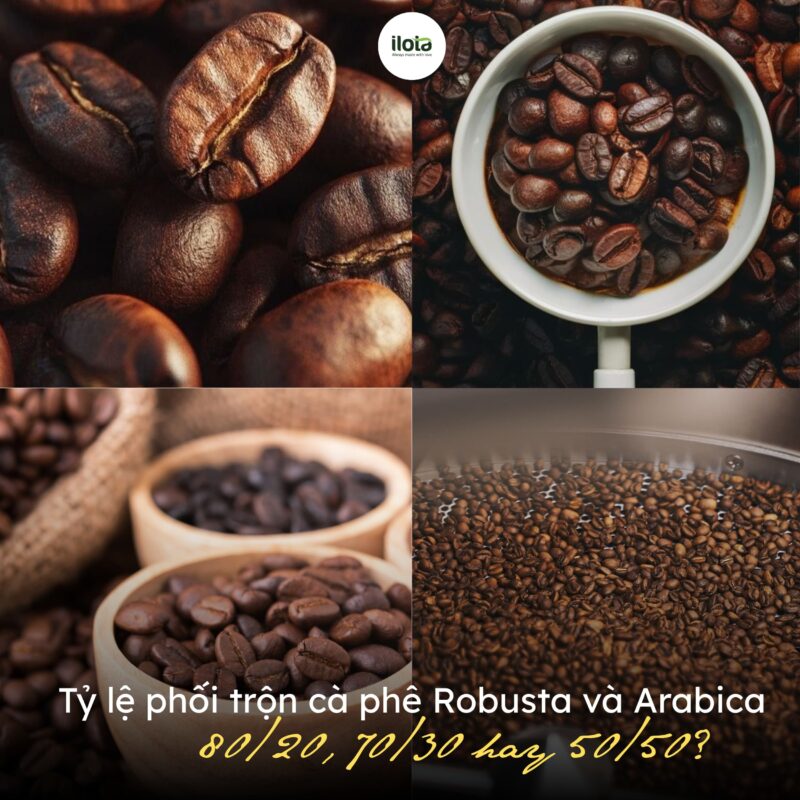 ty-le-phoi-tron-ca-phe-robusta-va-arabica