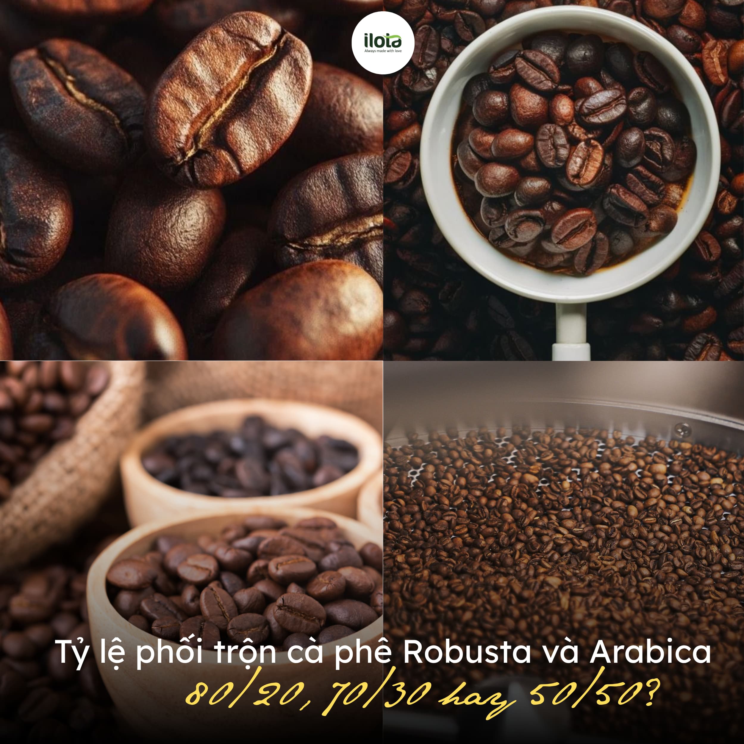 ty-le-phoi-tron-ca-phe-robusta-va-arabica