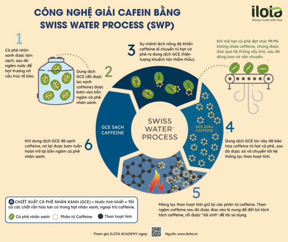 khu-caffeine-bang-mang-oxit-graphene/