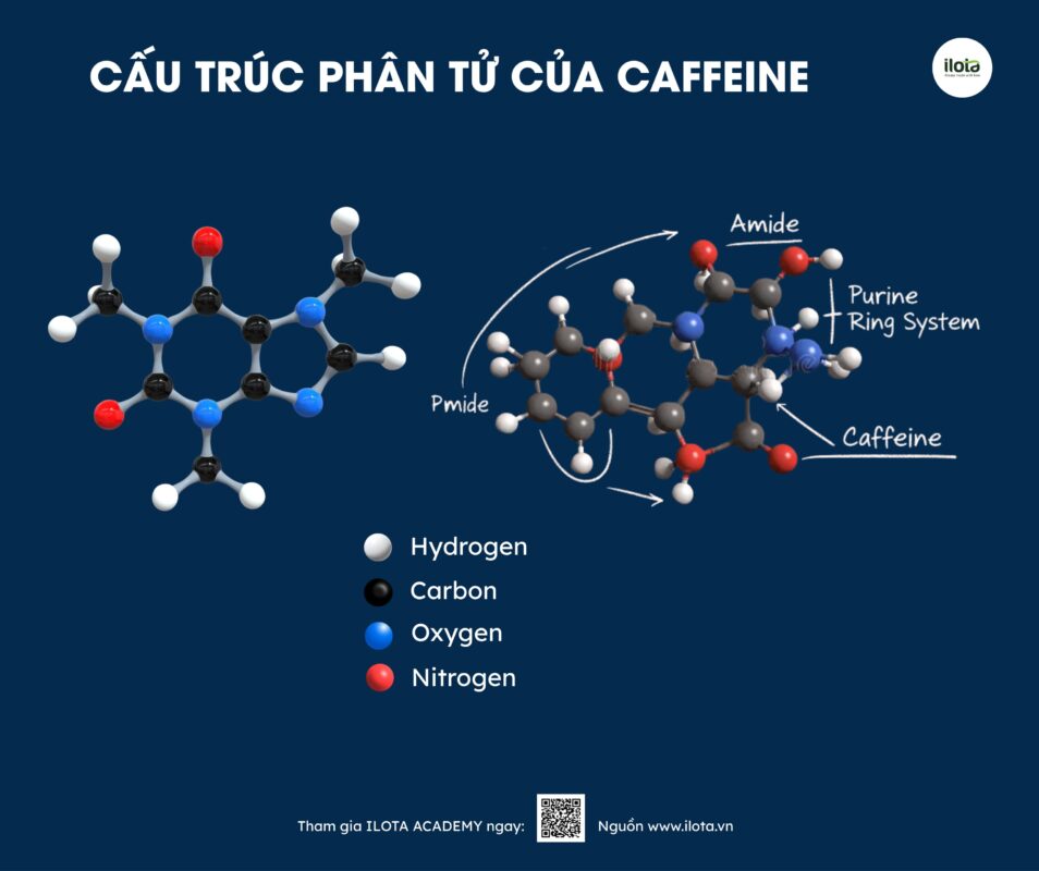 khu-caffeine-bang-mang-oxit-graphene/