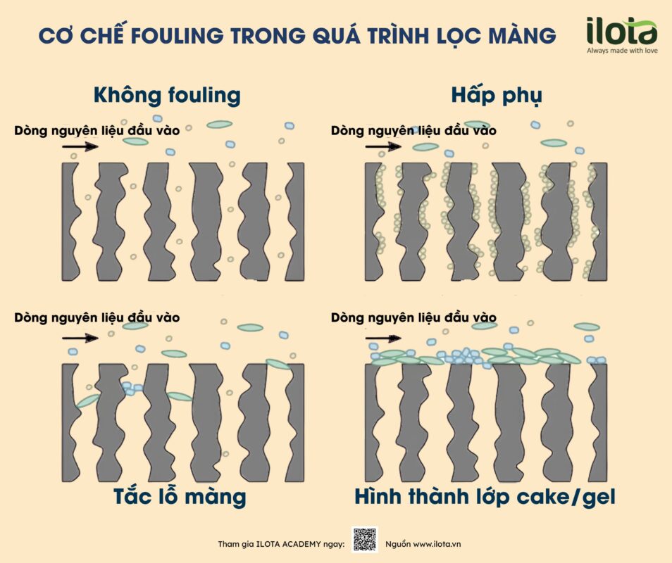 khu-caffeine-bang-mang-oxit-graphene/