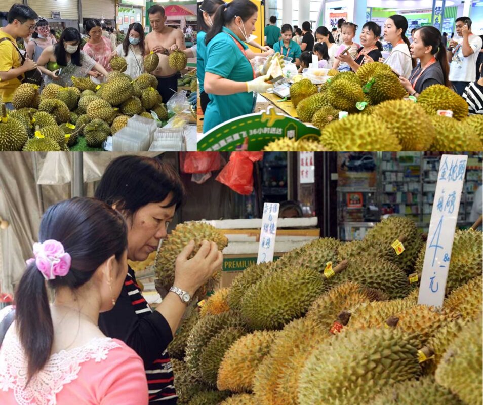 tu-ca-phe-sang-sau-rieng