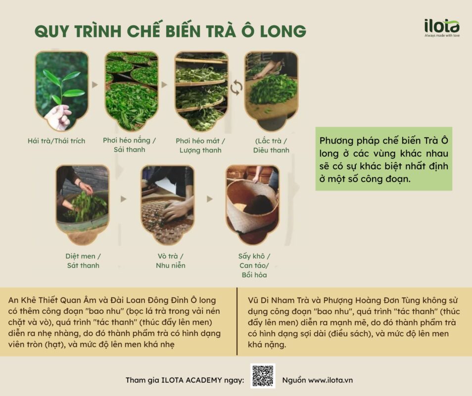 nguon-goc-cua-cac-loai-tra/