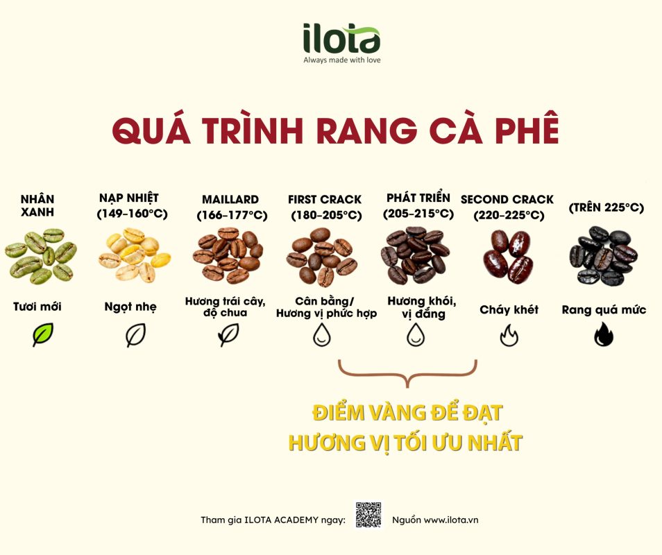 rest-nhan-xanh-truoc-khi-rang-khi-nao-can