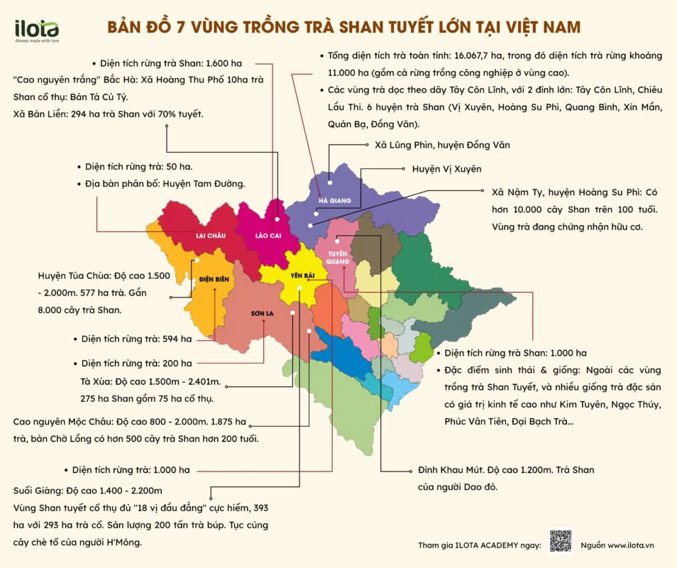 nguon-goc-cua-cac-loai-tra/