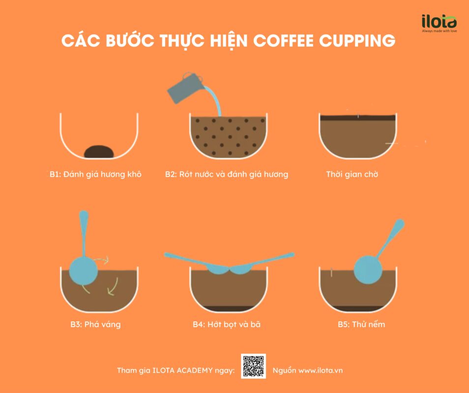chuyen-gia-thu-nem-ca-phe