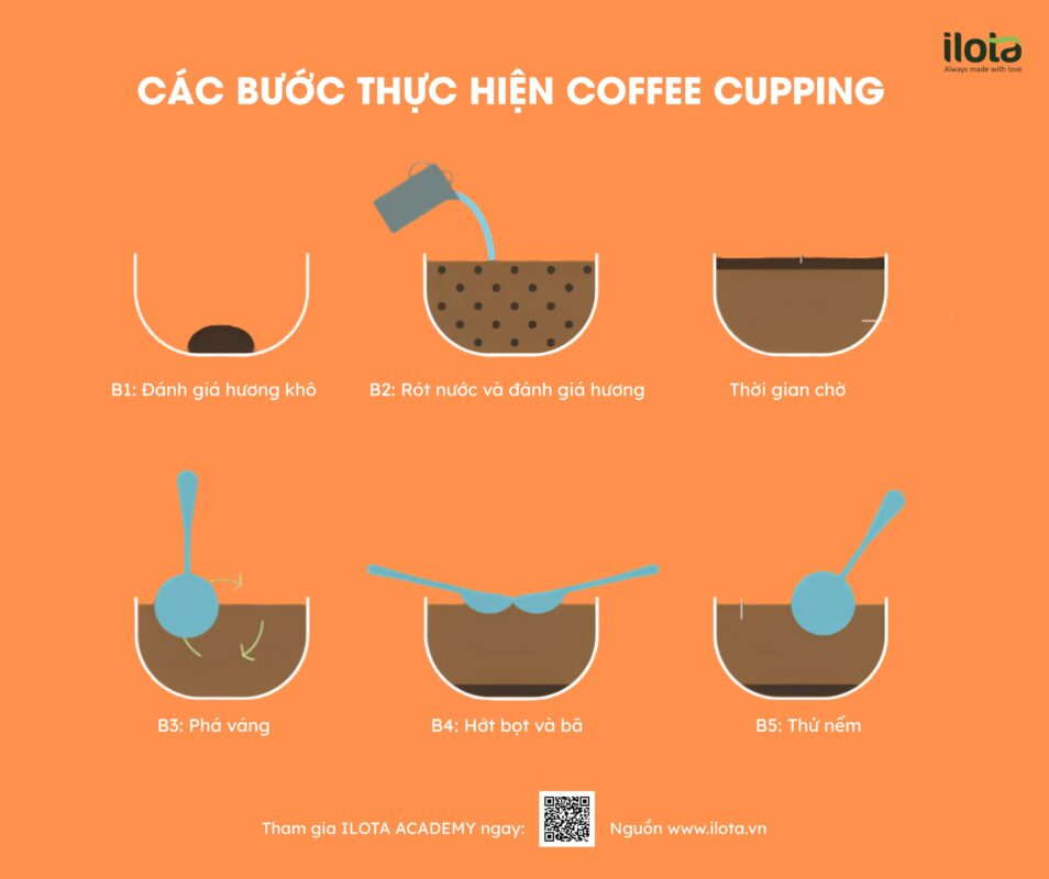chuyen-gia-thu-nem-ca-phe