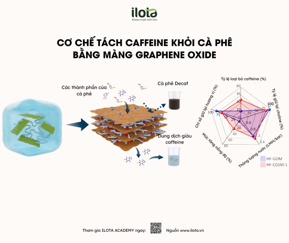 khu-caffeine-bang-mang-oxit-graphene/