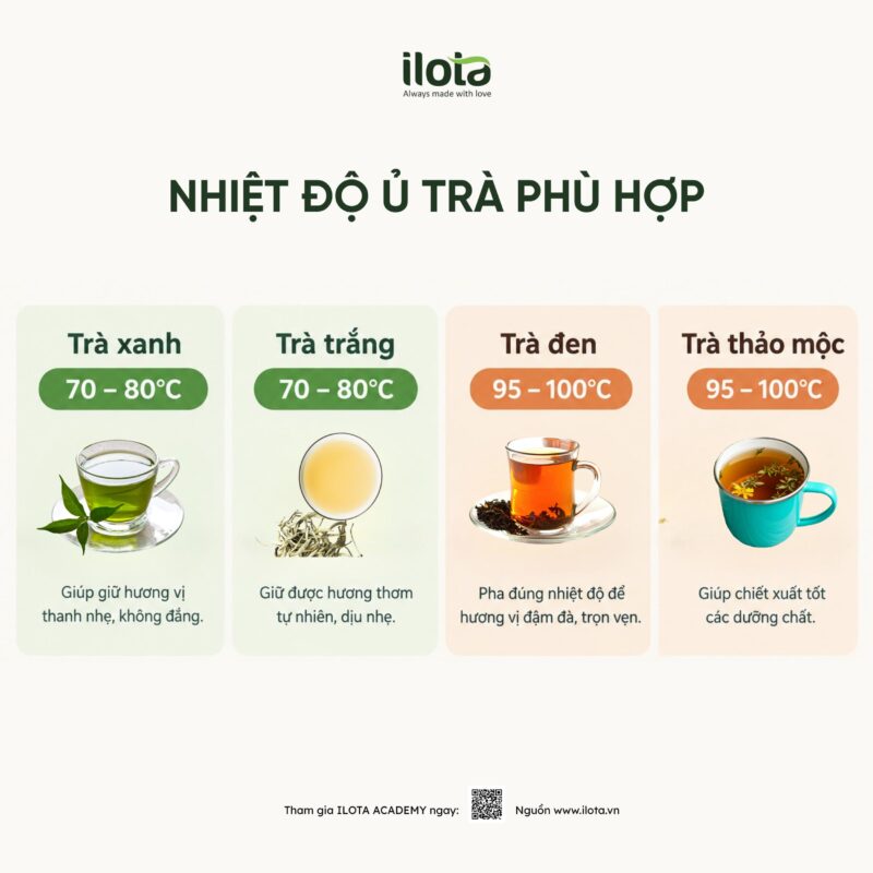 7-loi-u-tra-khien-tra-bi-dang/