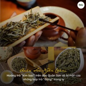 quan-son-ngan-cham-hoang-tra/