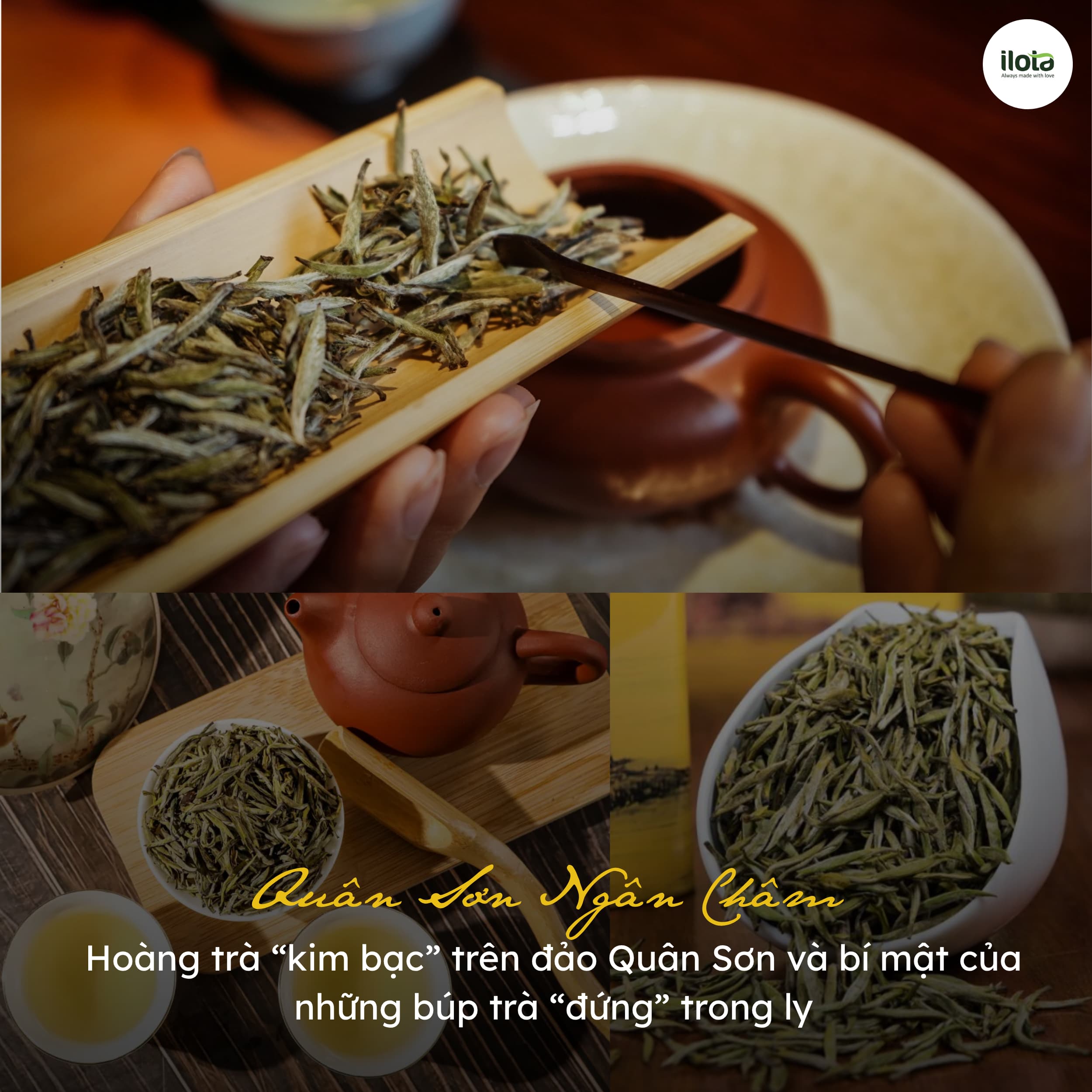 quan-son-ngan-cham-hoang-tra/