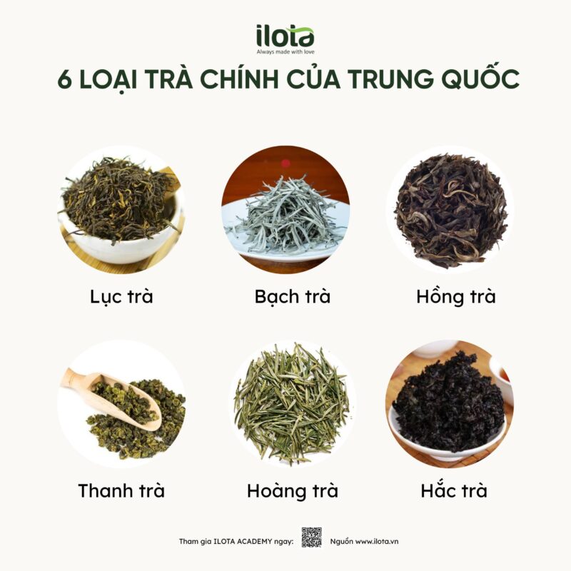 quan-son-ngan-cham-hoang-tra/