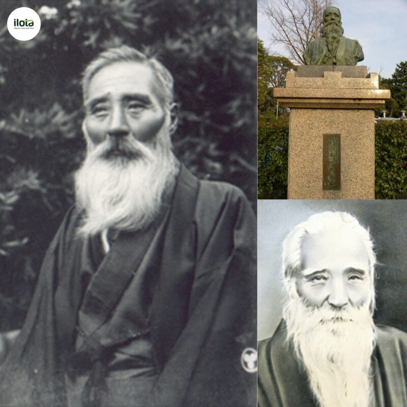 giong-tra-yabukita/