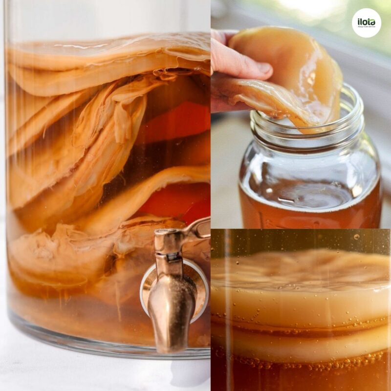 cach-lam-cascara-kombucha/