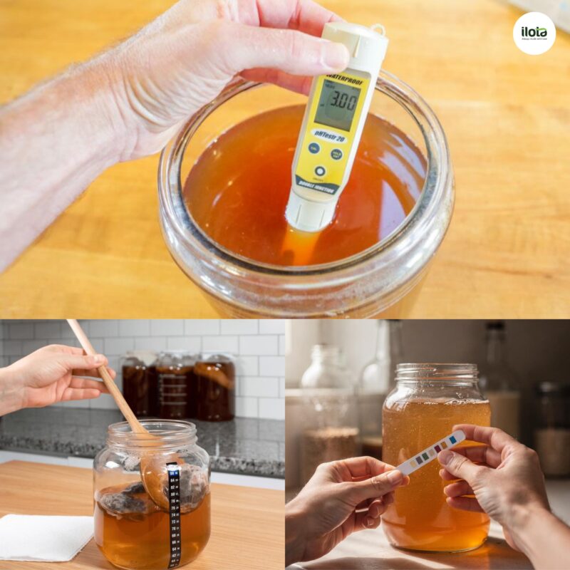 cach-lam-cascara-kombucha/