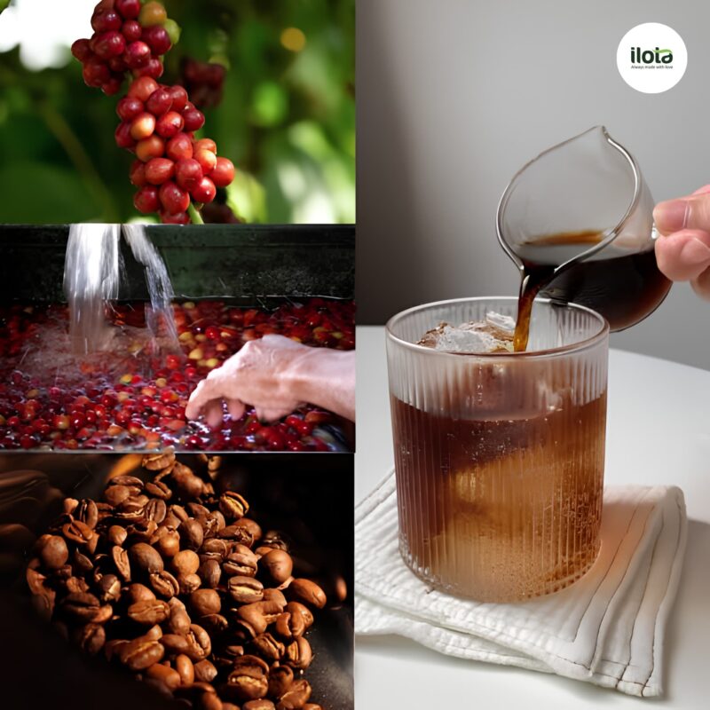 coldbrew-buoi-lam-sao-de-huong-buoi-noi-bat