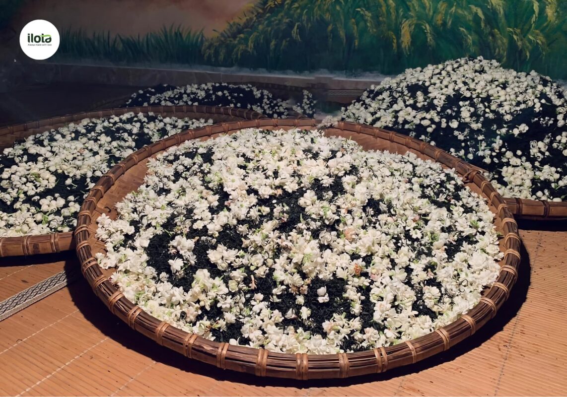 oolong-huong-nhai-va-tra-xanh-nhai