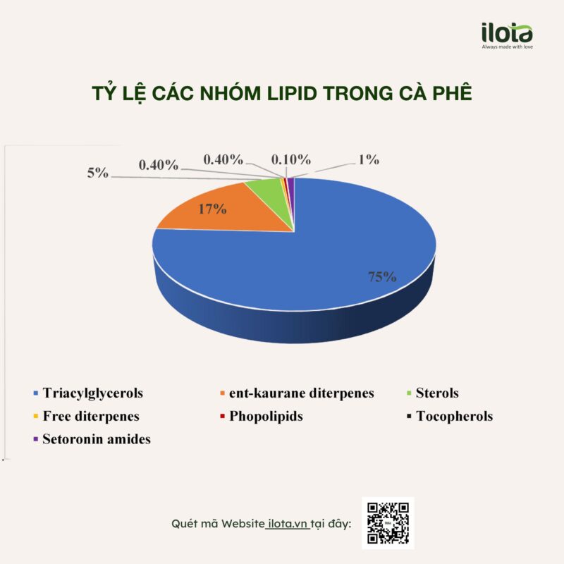 lipid-trong-hat-ca-phe/