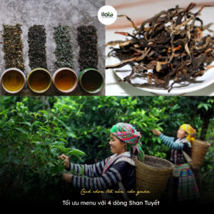 chon-tra-nen-cho-quan-toi-uu-voi-4-dong-shan-tuyet